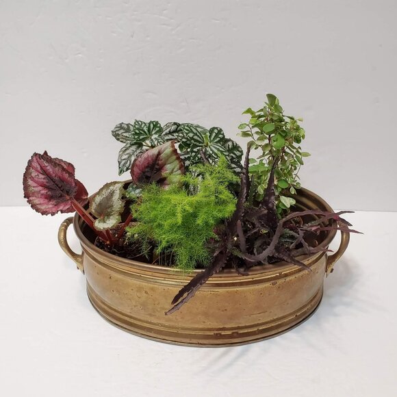 Vintage Oval Brass Planter with Dual Handles, Made in India, Gold Metal Pot - Picture 1 of 7